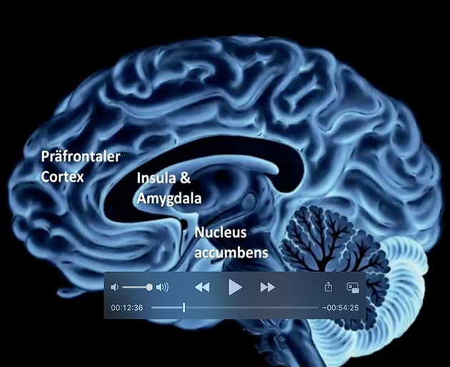 Webinar: Aktives Management auf Neurofinanz-Basis